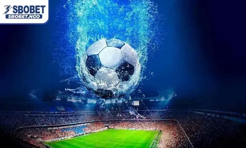 Cược bóng đá – Hướng dẫn chi tiết cách chơi và mẹo thắng lớn