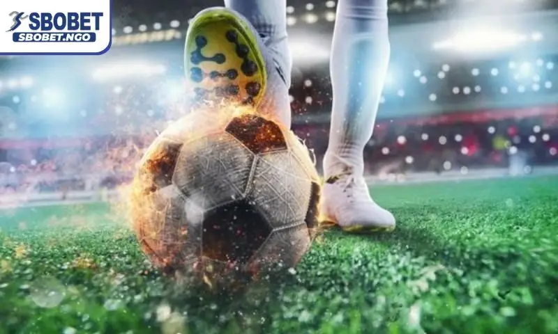 Quy trình cược bóng đá online an toàn cho người mới